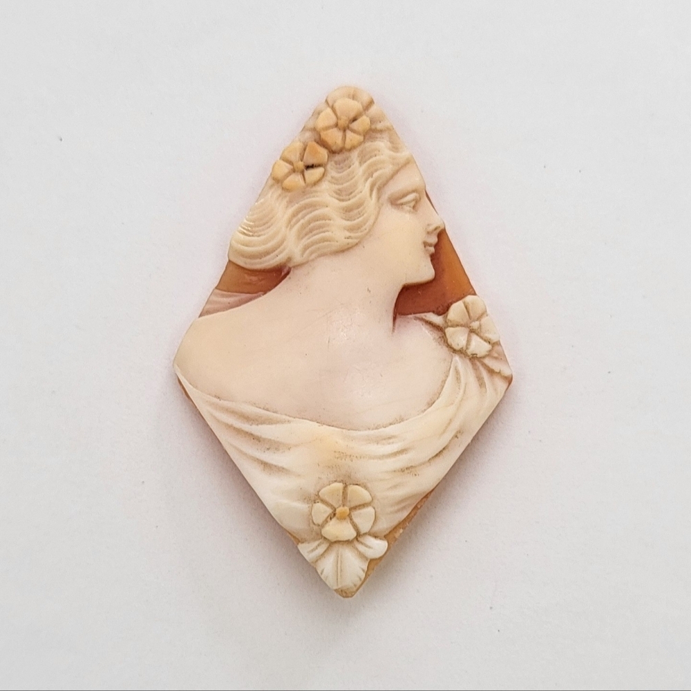 Shell cameo
